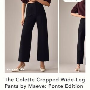 The Colette cropped wide leg pants by Maeve: Ponte edition